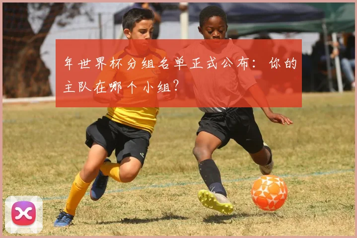 年世界杯分组名单正式公布:你的主队在哪个小组?